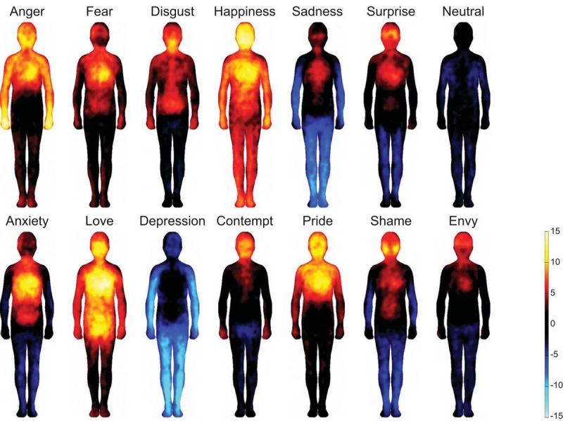 File:"Bodily Maps of Emotions" by Lauri Nummenmaaa, Enrico Glereana, Riitta Harib and Jari K. Hietanend.jpg